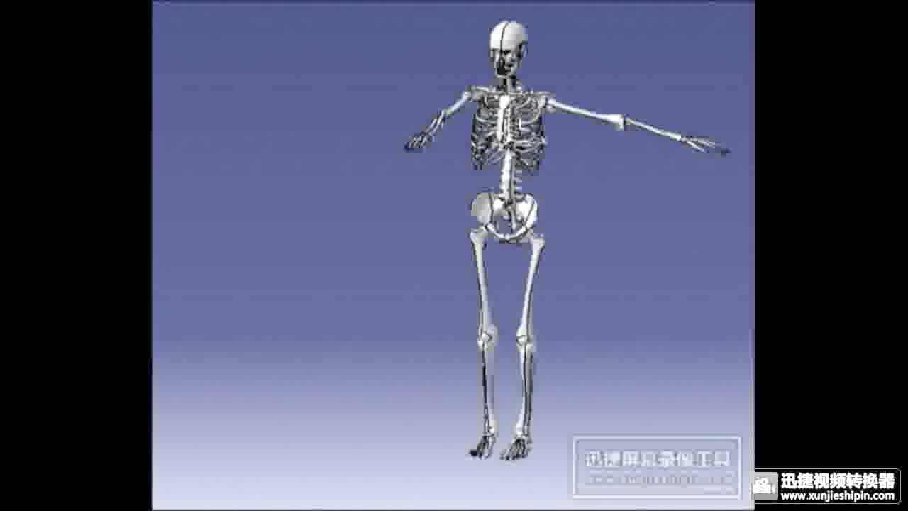 三维人体骨骼结构（CATIA）